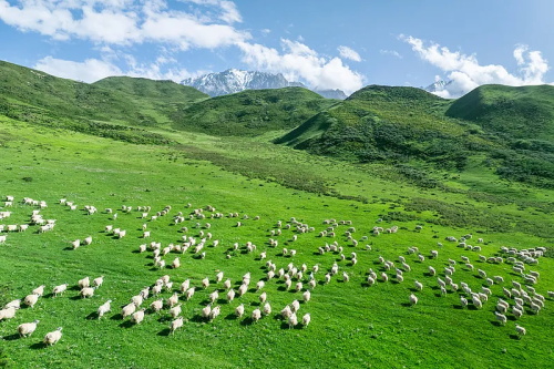 ÍþÁ®Ï£¶ûwilliamhill(Öйú)-¹Ù·½ÍøÕ¾